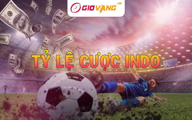 Tỷ lệ cược Indo - Hướng dẫn cách tính và đặt cược tại Giờ Vàng TV